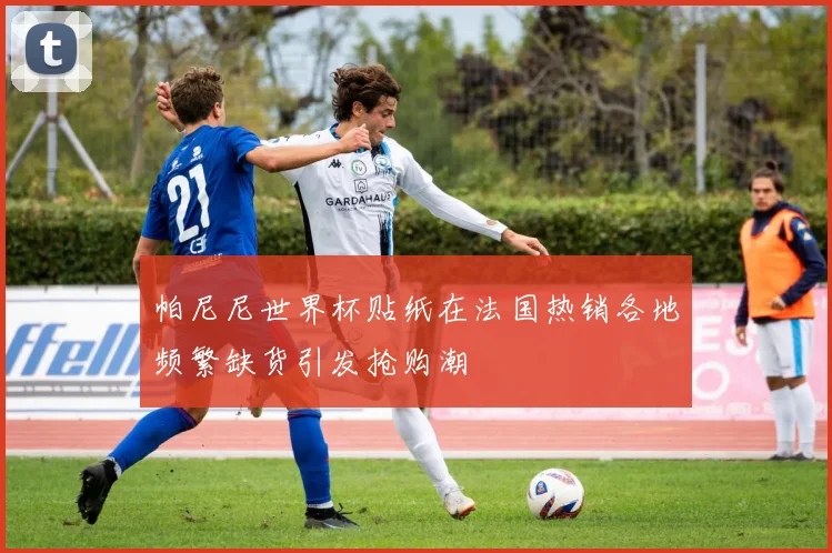 帕尼尼世界杯贴纸在法国热销各地频繁缺货引发抢购潮