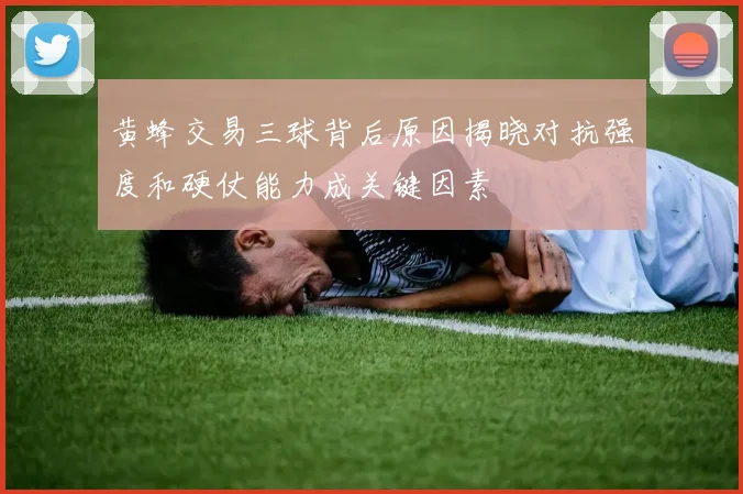 黄蜂交易三球背后原因揭晓对抗强度和硬仗能力成关键因素